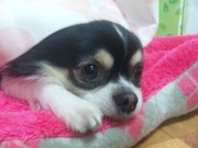 profilephoto