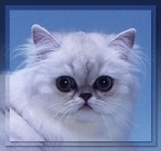 profilephoto