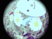 profilephoto