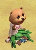 profilephoto