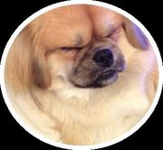 profilephoto