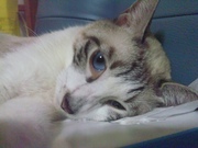 profilephoto
