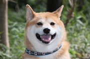profilephoto