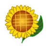 profilephoto