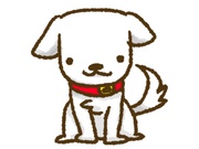 profilephoto