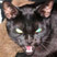 profilephoto