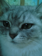 profilephoto