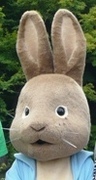 profilephoto
