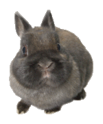 profilephoto